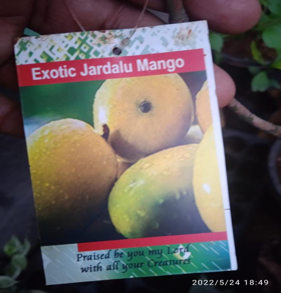 Mannuthy Farms